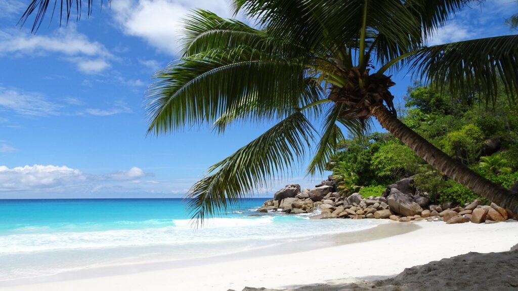 anse-georgette-7143265